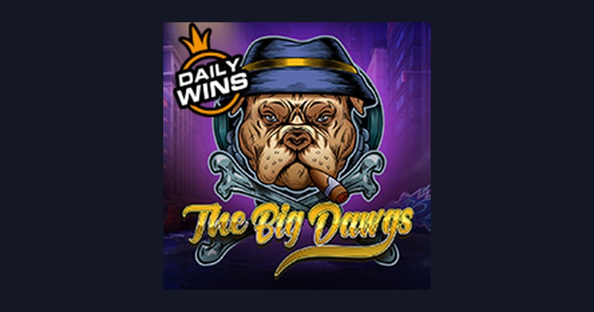 Tips Bermain Slot The Big Dawgs: Strategi Slot Pemula & Info RTP Harian