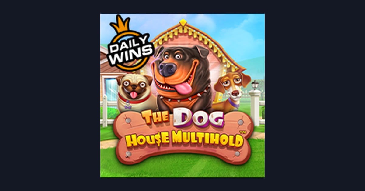 Tips Bermain The Dog House Multihold: Strategi Slot Pemula & Info RTP